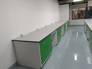 化學(xué)行業(yè)實(shí)驗(yàn)室家具案例