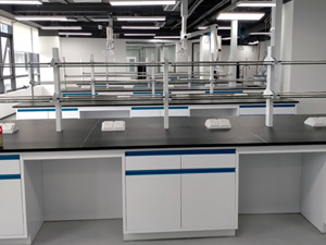 食品行業(yè)實(shí)驗(yàn)室家具案例